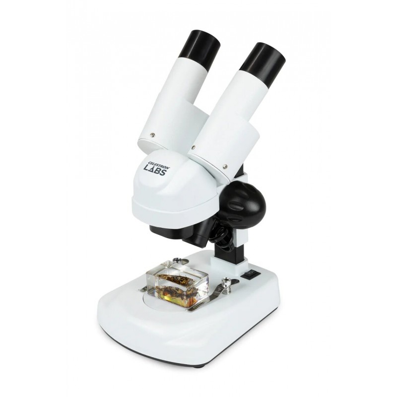 Loupe binoculaire Labs S20 Stéréo - Tête inclinée Loupe binoculaire Labs S20 Stéréo - Tête inclinée