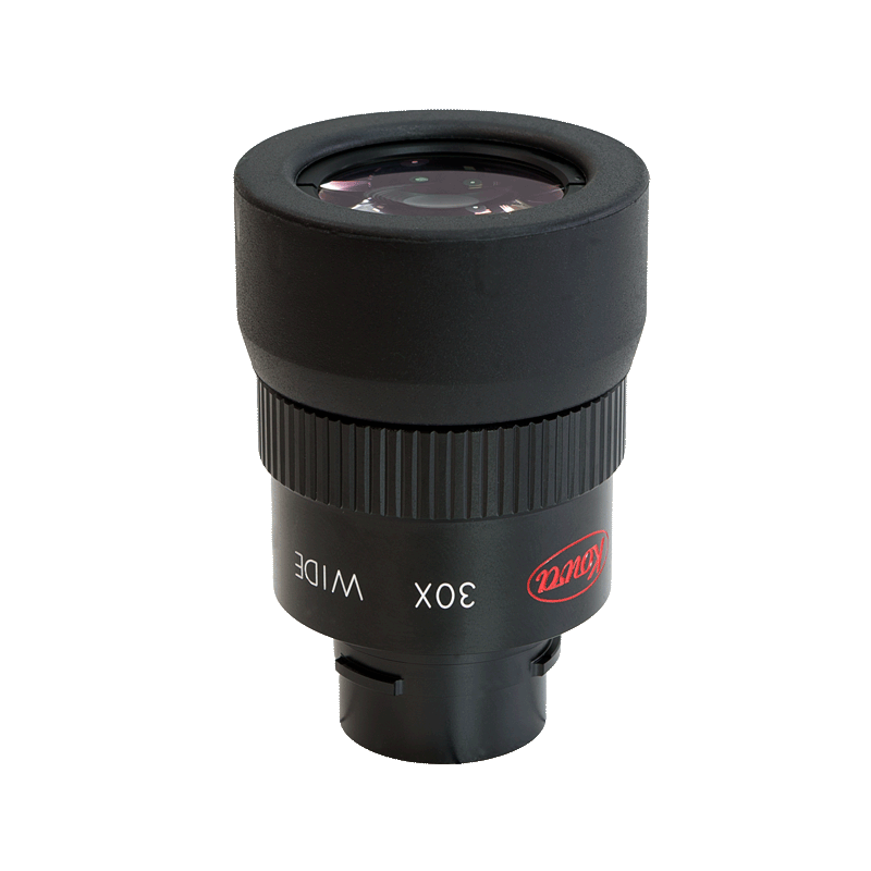 Oculaire grand champ 30x Oculaire grand champ 30x