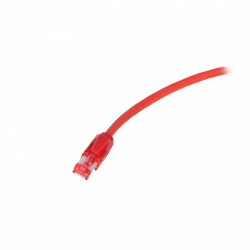 Câble réseau rouge Ethernet pour le froid