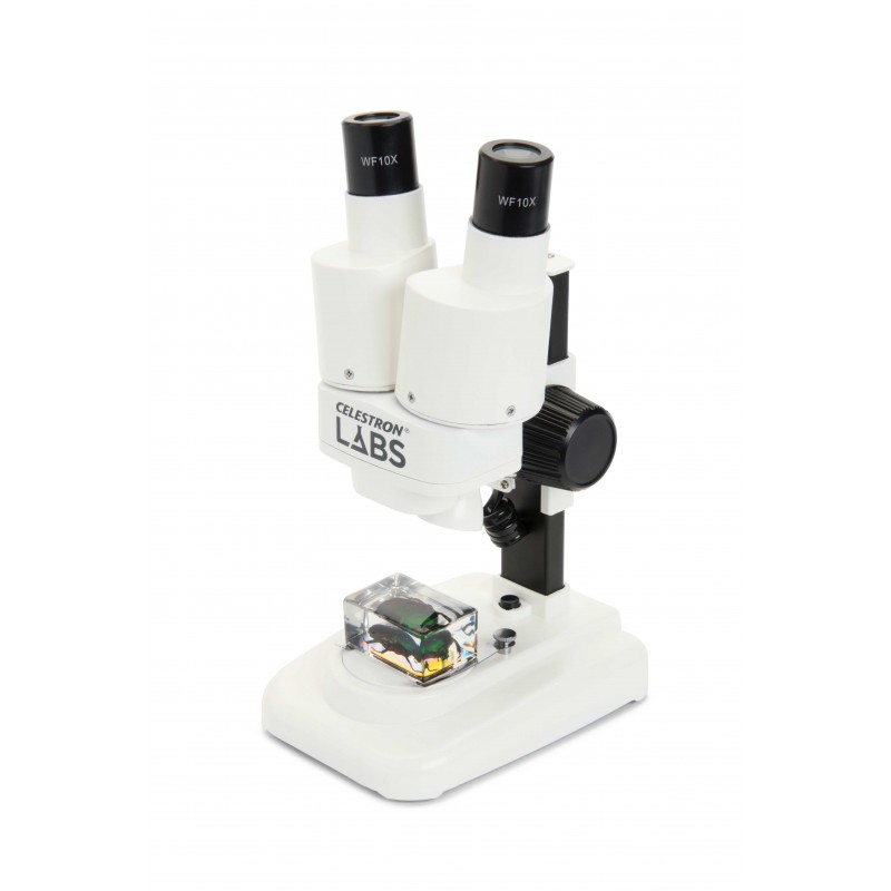 Loupe binoculaire Labs S20 Stéréo - Tête droite Loupe binoculaire Labs S20 Stéréo - Tête droite