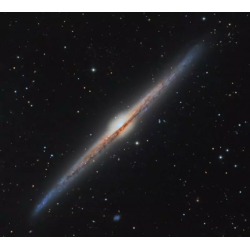 NGC 4565