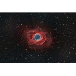 NGC 7293 (HOO-RGB-DR)