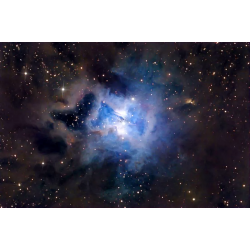 Nébuleuse de l'IRIS (NGC 7023)