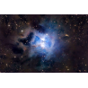 Nébuleuse de l'IRIS (NGC 7023)