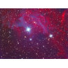 NGC 135